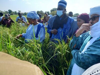 Mali : les femmes rurales contribuent pour plus de 55,8% à la production agroalimentaire nationale, selon la ministre Wadidié Founé Coulibaly