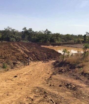 Remise en état des lieux dans la forêt classée de keikoro-Bougouni